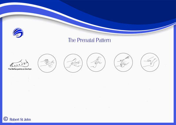 prenatal_therapy_chart_nov_25